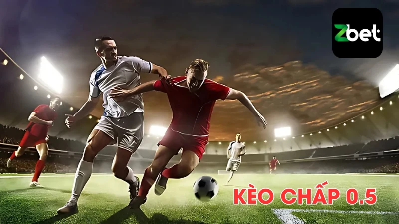 Kèo chấp nửa trái dễ hiểu, dễ chơi