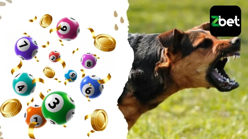 Mỗi giấc mơ thấy chó đuổi cắn tương ứng bộ số lô đề riêng